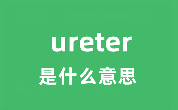 ureter是甚么意义