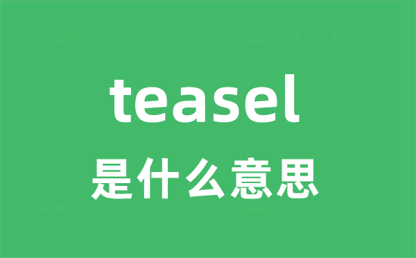 teasel是甚么意义