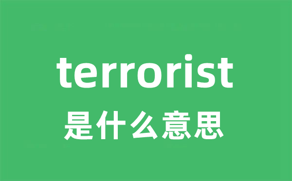terrorist是甚么意义