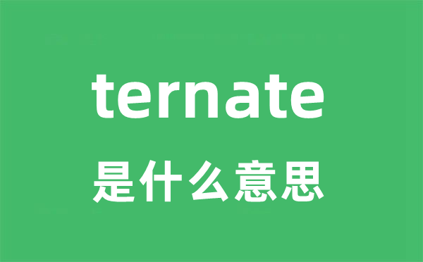ternate是甚么意义
