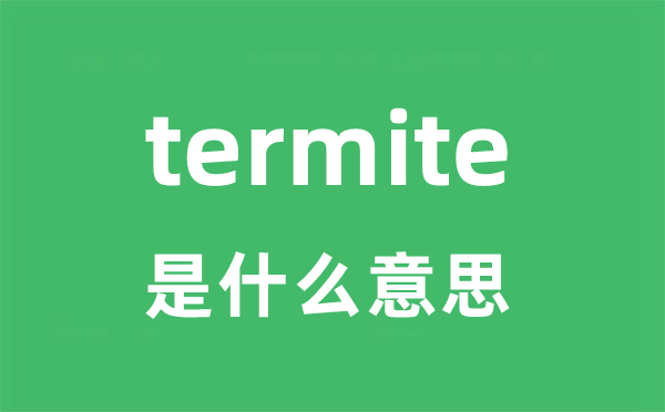 termite是甚么意义