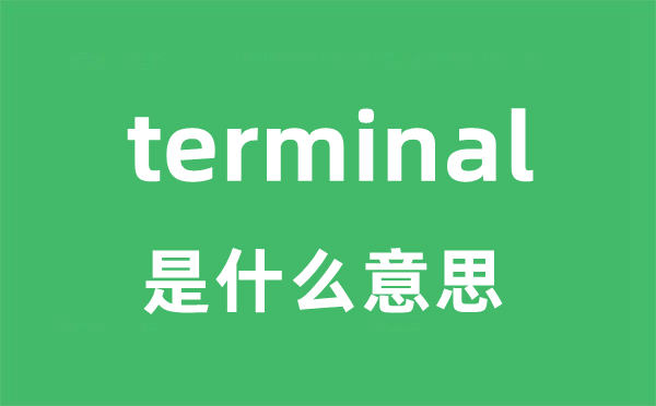 terminal是甚么意义