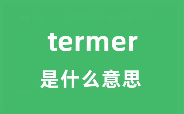 termer是甚么意义