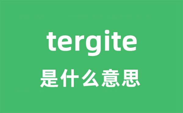 tergite是甚么意义