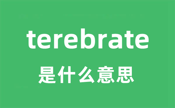 terebrate是甚么意义