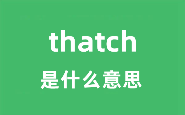 thatch是甚么意义