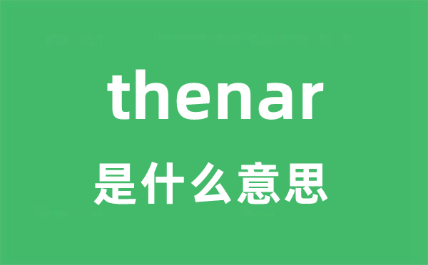 thenar是甚么意义