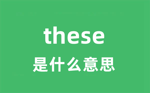 these是甚么意义
