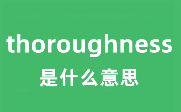 thoroughness是甚么意义