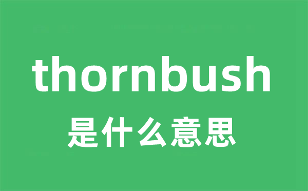 thornbush是甚么意义