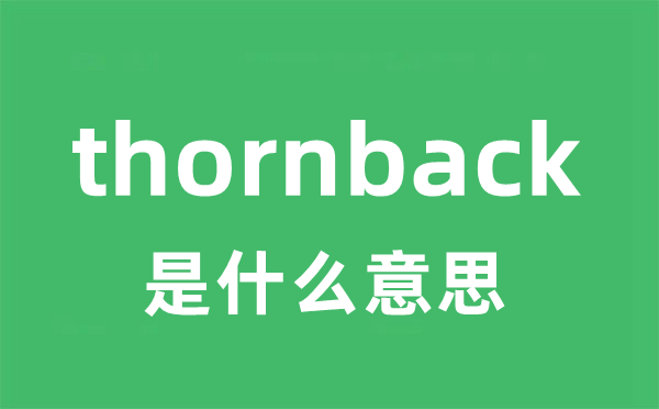 thornback是甚么意义
