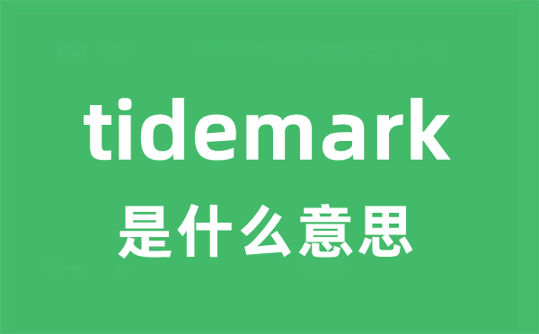 tidemark是甚么意义