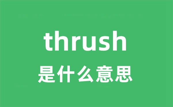 thrush是甚么意义