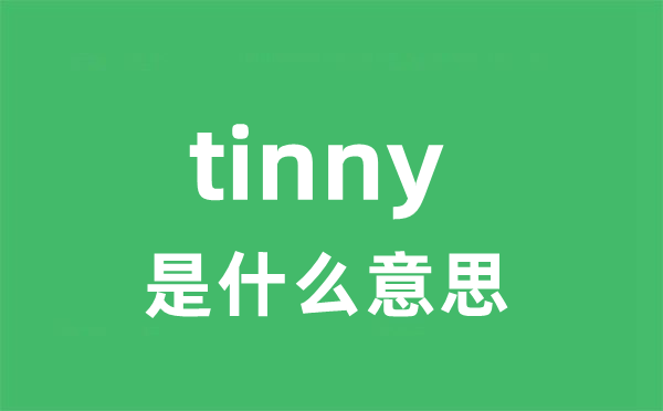 tinny是甚么意义