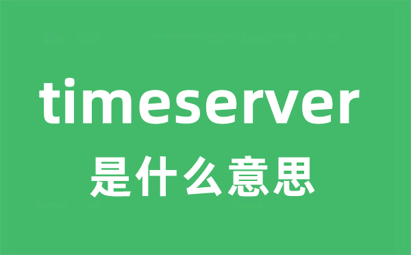 timeserver是甚么意义