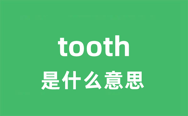 tooth是甚么意义