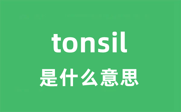tonsil是甚么意义