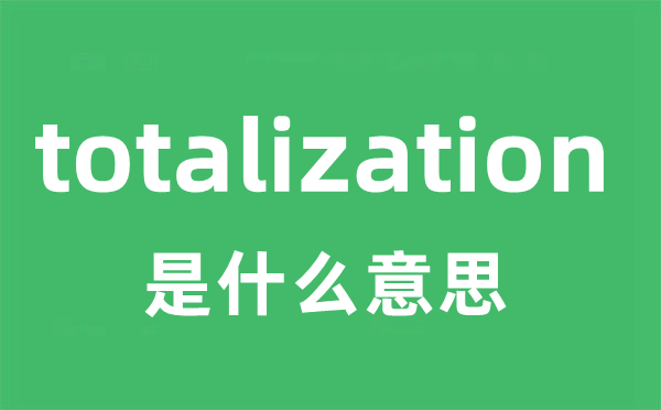 totalization是甚么意义