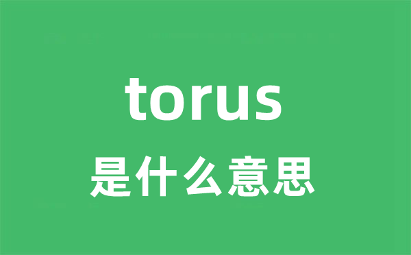 torus是甚么意义