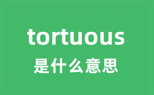 tortuous是甚么意义
