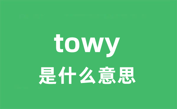 towy是甚么意义