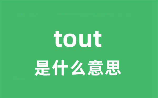 tout是甚么意义