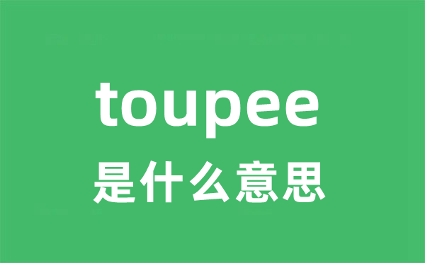 toupee是甚么意义