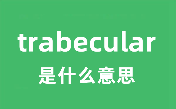 trabecular是甚么意义