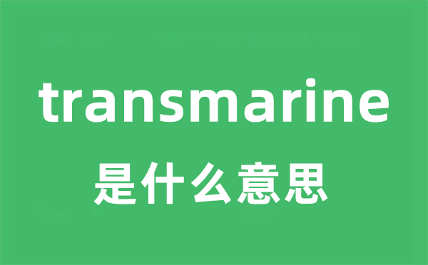 transmarine是甚么意义