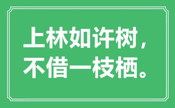 “上林这样树，不借一枝栖”是甚么意义,来由是那里