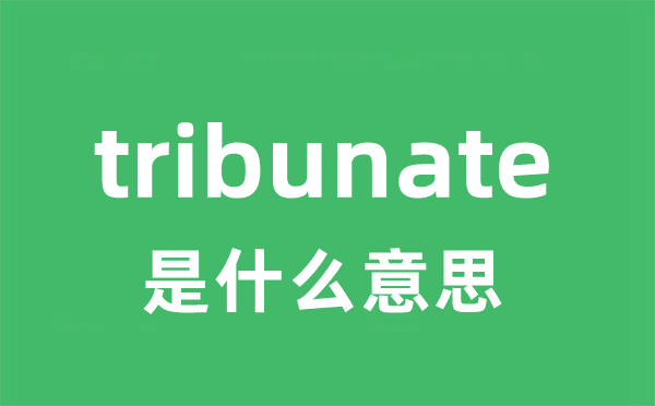 tribunate是甚么意义