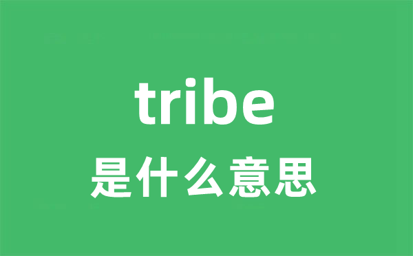 tribe是甚么意义