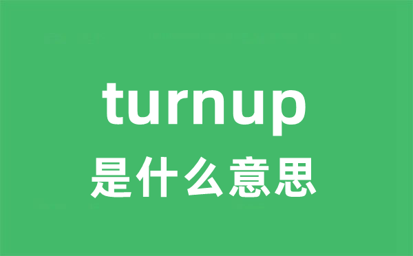 turnup是甚么意义