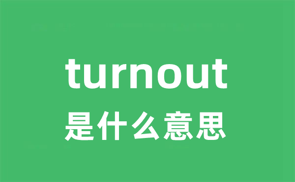 turnout是甚么意义