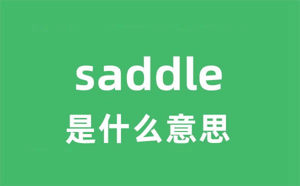 saddle是甚么意义