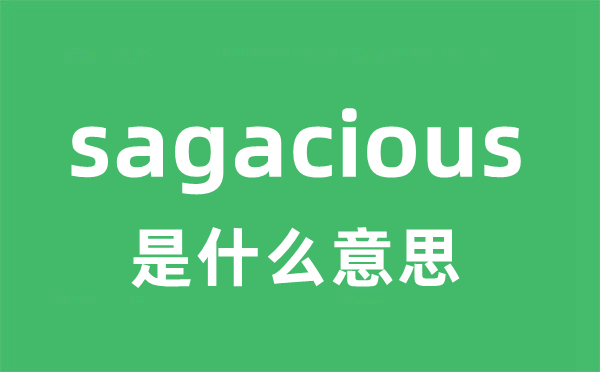 sagacious是甚么意义