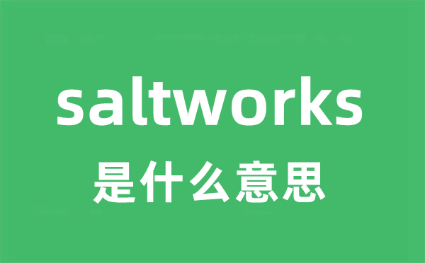 saltworks是甚么意义