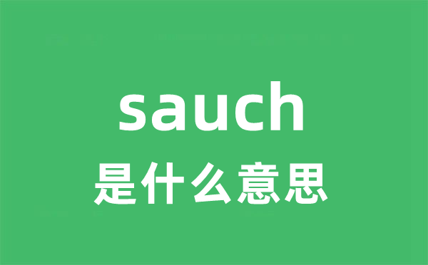 sauch是甚么意义