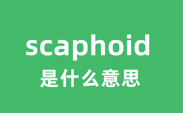 scaphoid是甚么意义