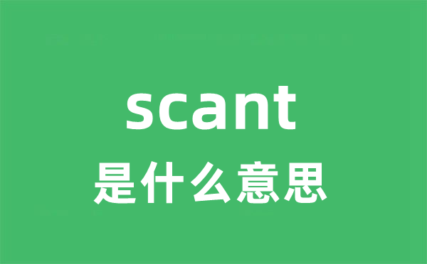 scant是甚么意义