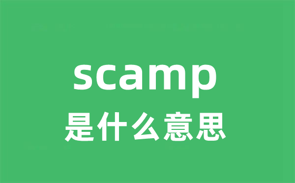 scamp是甚么意义