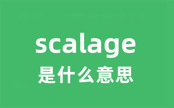 scalage是甚么意义