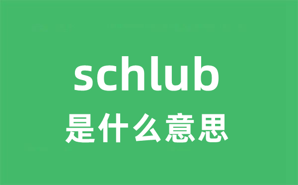 schlub是甚么意义