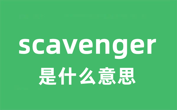 scavenger是甚么意义