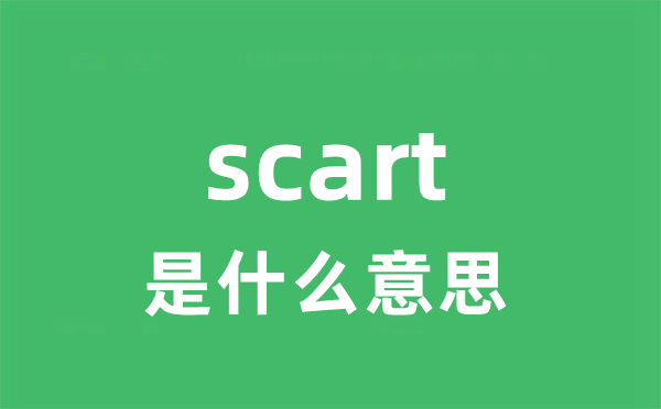 scart是甚么意义