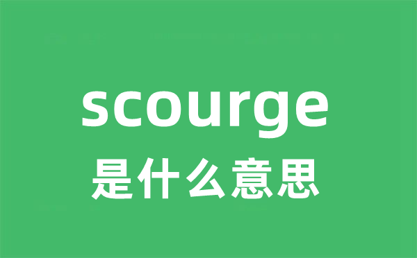 scourge是甚么意义