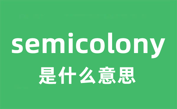 semicolony是甚么意义