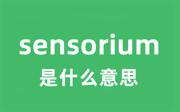 sensorium是甚么意义