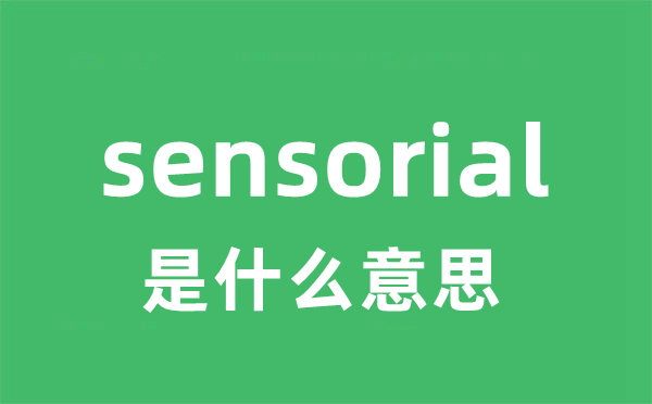 sensorial是甚么意义