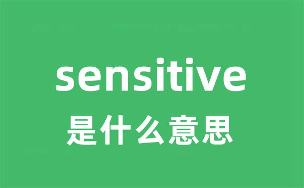 sensitive是甚么意义